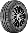 FIREMAX FM601 205/60R15 91V
