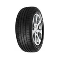MINERVA F209 205/60R16 92V