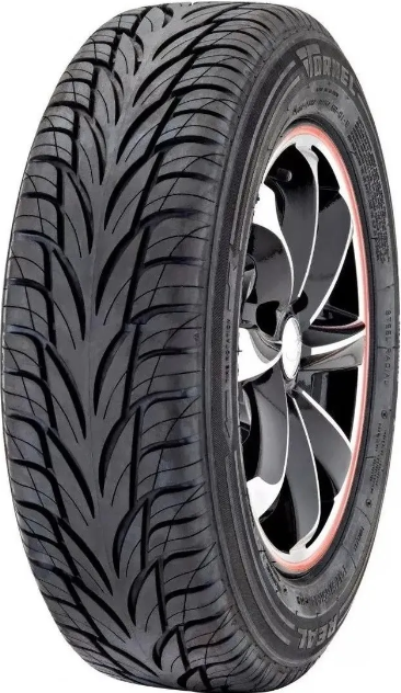 TORNEL REAL 205/65R15 92V